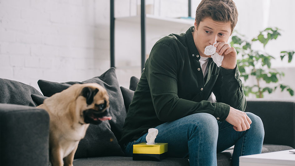 Getting an air purifier is one of the wisest ways to enhance your residence’s indoor air quality. Learn more about the three top products. 